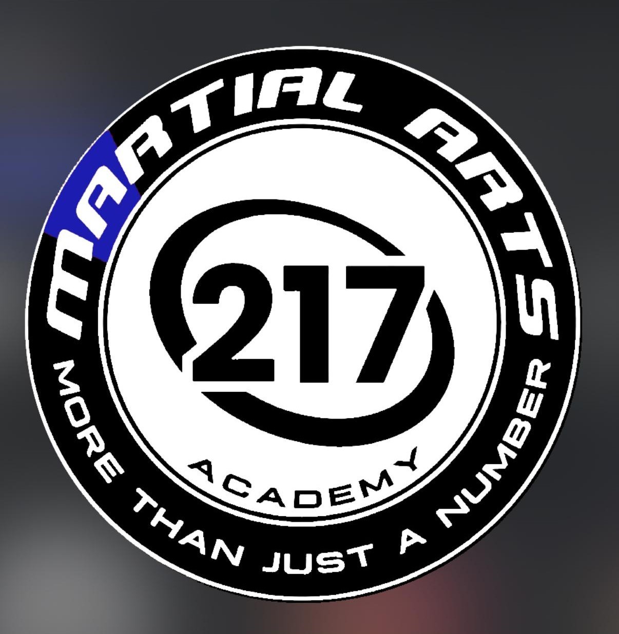 MMA תל אביב – Martial arts 217